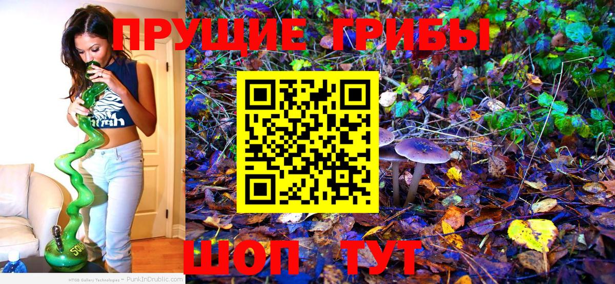 Галлюциногенные грибы Cubensis Надым