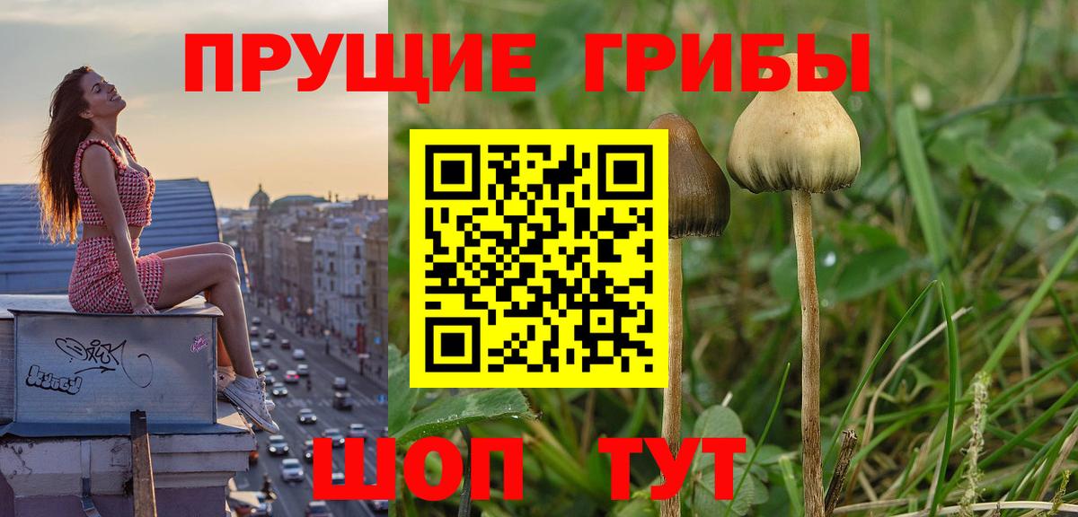 Надым  Псилоцибиновые грибы ЛСД  Вход с VPN 