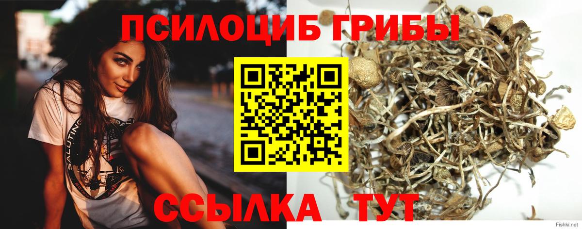 Каннабис  МДМА  Надым  Экстази  ГАШИШ  Лсд 25  МЕФ   Вход с VPN  Где продают наркотики?  ГАШИШ  Каннабис 
